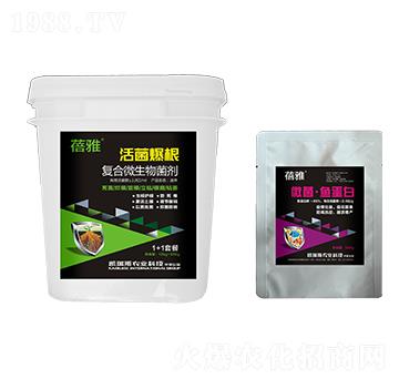 ��(f��)��΢�������-1+1�ײ�-�P��˹