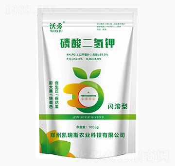 ��������-����-�P��˹