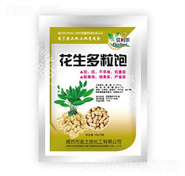 花生多粒飽-金土地