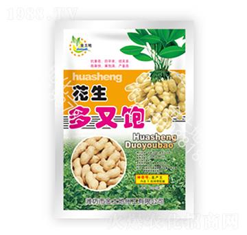 花生多又飽-金土地