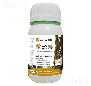 大西洋天然海藻提取物-金盈萊（200ml）-盈萊生物