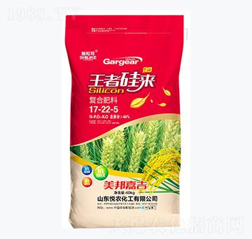 復(fù)合肥料17-22-5-施?？?悅農(nóng)化工