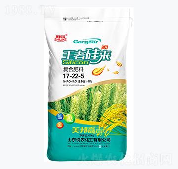 40kg復(fù)合肥料17-22-5-施粒可-悅農(nóng)化工