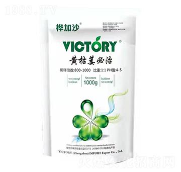 黃枯萎必治-樺加沙-維柯托瑞