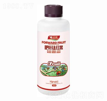 肥葉鈦紅果-豐華果-豐華肥業(yè)