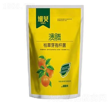 枯草·芽孢桿菌-潰疼-細(xì)貝-豆本豆