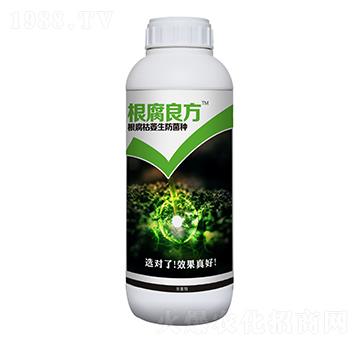 根腐良方-豆本豆