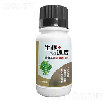 植物基因生根活化劑-生根加速度-豆本豆