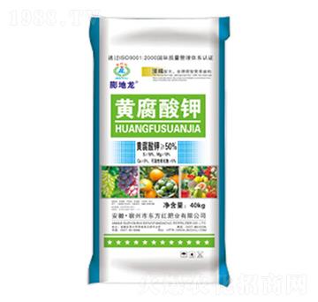 �S�����-�����-�|���t