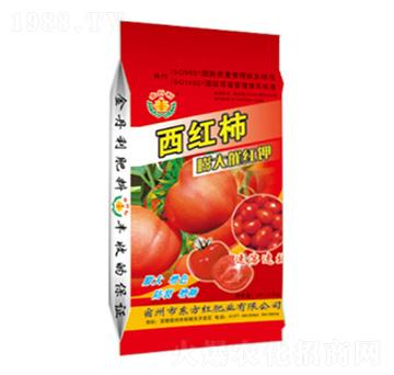 ���t�����߼t�-�|���t