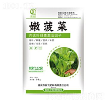 嫩菠菜-白市化工