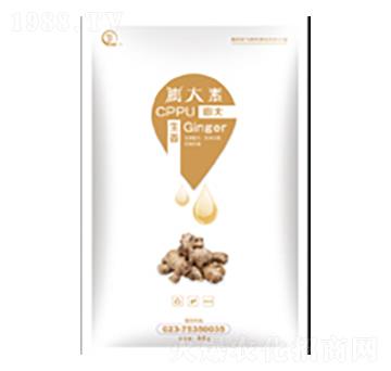 生姜膨大素-白市化工