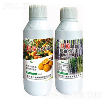 �̽۴�ѿ��+���������������L(zh��ng)��-���л���