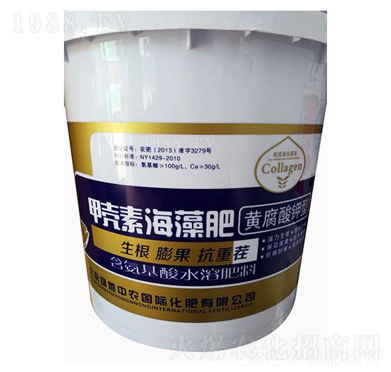 甲殼素海藻肥（黃腐酸鉀）-綠地中農(nóng)