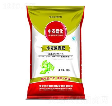 小麥返青專(zhuān)用肥-中農(nóng)嘉化-聚農(nóng)生物