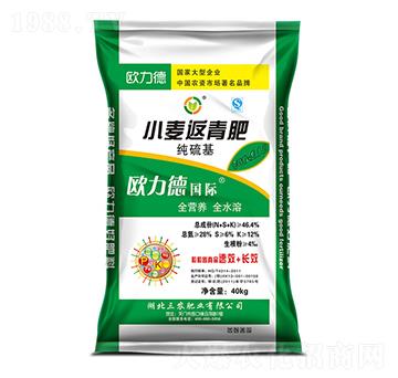小麥返青專用肥-歐力德-聚農(nóng)生物