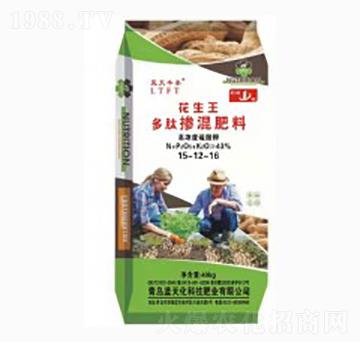 ���ē������15-12-16-������-�{(l��n)���S̩