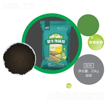 微生物菌劑粉劑-潤(rùn)田生物