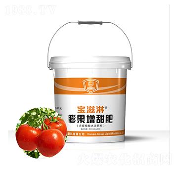 ���t����(zhu��n)����������-������-��qҺ�w��