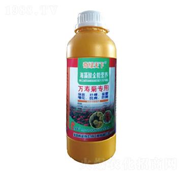 萬壽菊專用海藻酸營養(yǎng)液-奇綠天下-中根生物