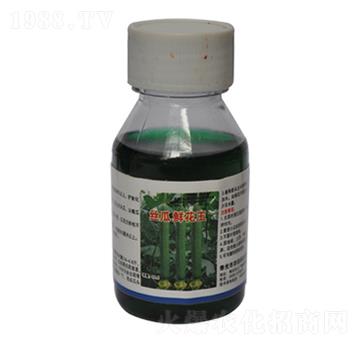 絲瓜鮮花王-農(nóng)伯樂