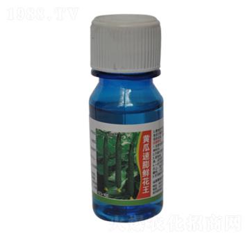 黃瓜速膨鮮花王-農伯樂