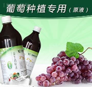 如金葡萄種植專用益生菌原液-綠洲生物