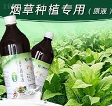 如金煙草種植專用益生菌原液-綠洲生物