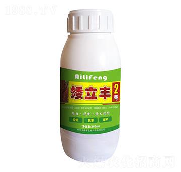 矮立豐2號(hào)-禾植豐