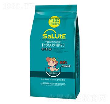 中量元素水溶肥料-鈣鎂鐵硼鋅-致敬農(nóng)業(yè)