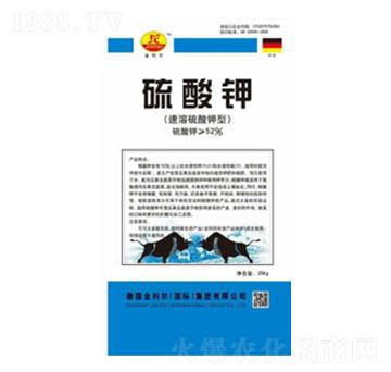 ���������-�Έ@-����