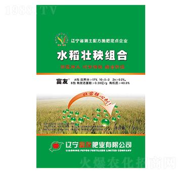 水稻壯秧組合(AB包)-富友肥業(yè)