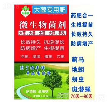 大蔥專用微生物菌劑-綠豐祥農(nóng)業(yè)