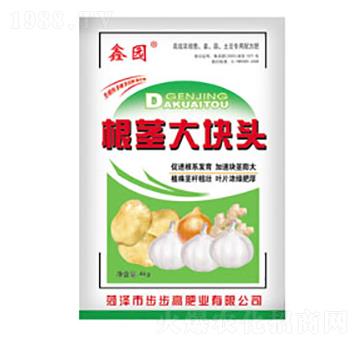 ���o��K�^-�Έ@-����