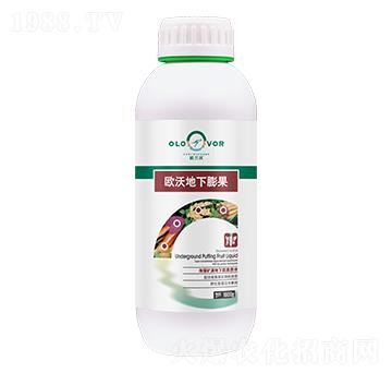 歐沃地下膨果-歐蘭沃