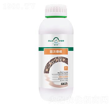 歐沃爆根-歐蘭沃