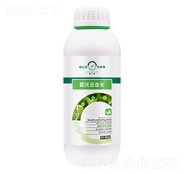 歐沃日夜長-歐蘭沃