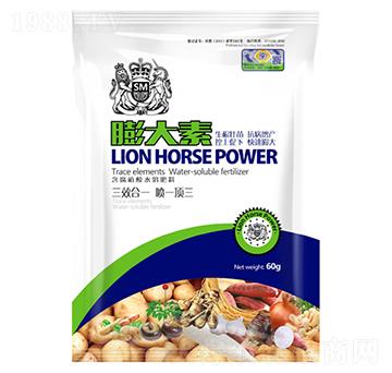 膨大素-獅馬肥業(yè)