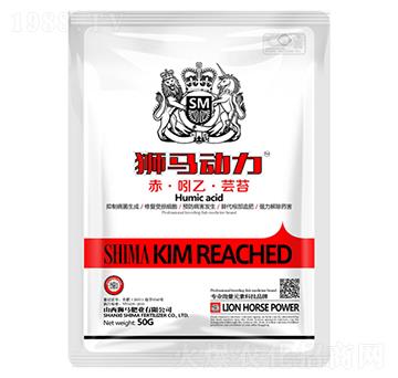 �ࡤ���ҡ��|̦-�{�R��(d��ng)��-�{�R�ʘI(y��)