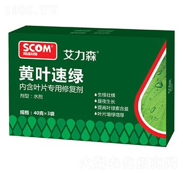 黃葉速綠-艾力森-斯科姆