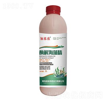 酶解海藻精-加米農