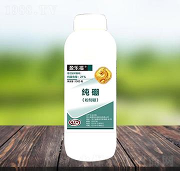 �ۄ���-ӯ��(l��)��-������