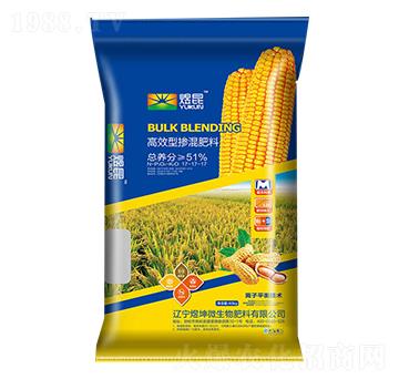 緩釋摻混肥料17-17-17-煜坤