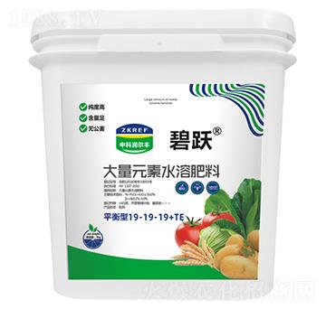 平衡型大量元素水溶肥料19-19-19+TE（桶）-碧躍-中科潤(rùn)爾豐