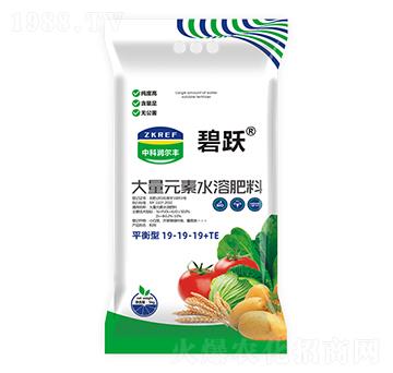 平衡型大量元素水溶肥料19-19-19+TE-碧躍-中科潤爾豐