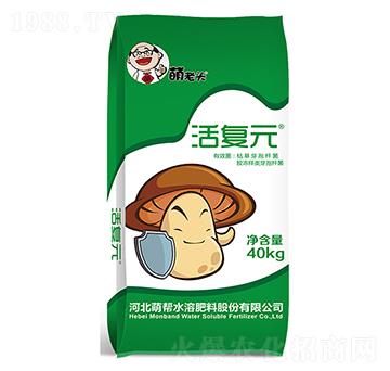 ���Ԫ-�Ȏ�