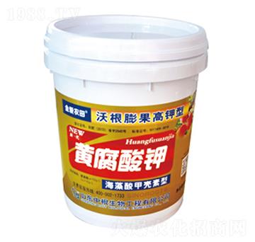 �S�����-�и�����