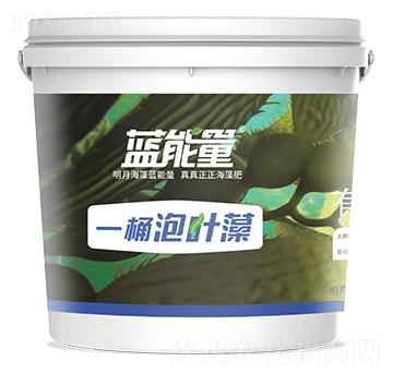 一桶泡葉藻-藍能量