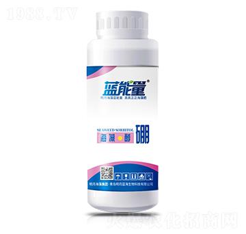 500g海藻·醇硼-藍(lán)能量