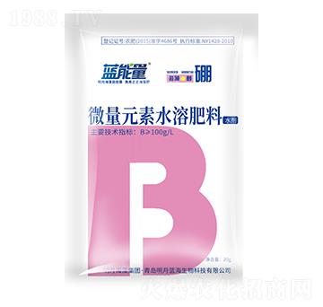 含氨基酸水溶肥料-海藻·醇硼-藍(lán)能量